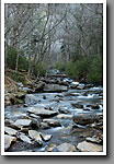 Appalachian Mountain Stream, Smoky Mountain NP