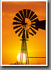 Windmill, Starr County, TX