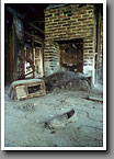 Day The Music Died, Sharecropper Shack, Kemper County, MS