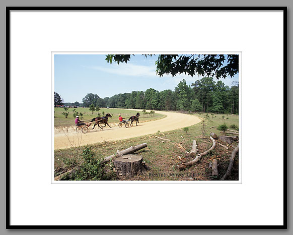 Harness Racing, Jogging Horses, Oktibbeha County, MS