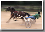 Harness Racing, Kennedy Lindsey, Minor's Track, Oktibbeha County, MS