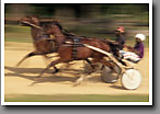 Harness Racing, Sammy & Curtis, Minor's Track, Oktibbeha County, MS