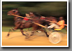 Harness Racing, Minor's Track, Oktibbeha County, MS