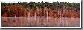 Bluff Lake, autumn, Noxubee NWR