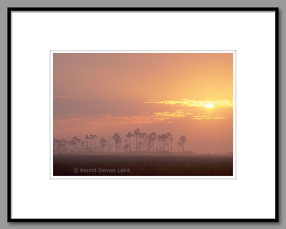 Sunrise, Everglades NP, FL