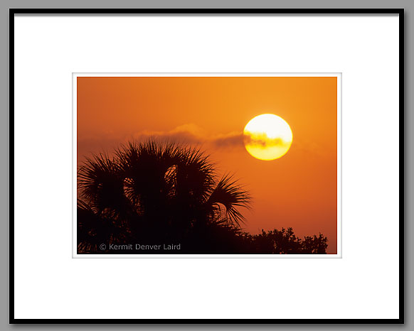 Everglades Sunset, Collier County, FL