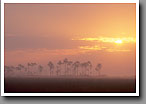 Everglades Sunrise, Everglades NP, FL