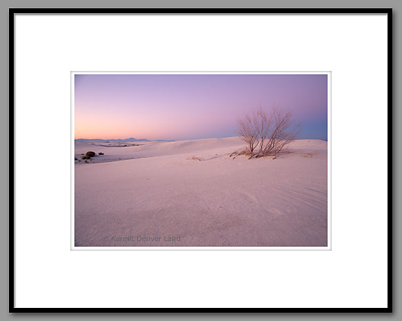 Dunescape, Cottonwood Tree, White Sands, NM