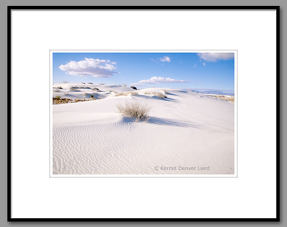 Dunescape, White Sands, NM