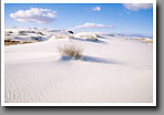 Dunescape, White Sands, NM